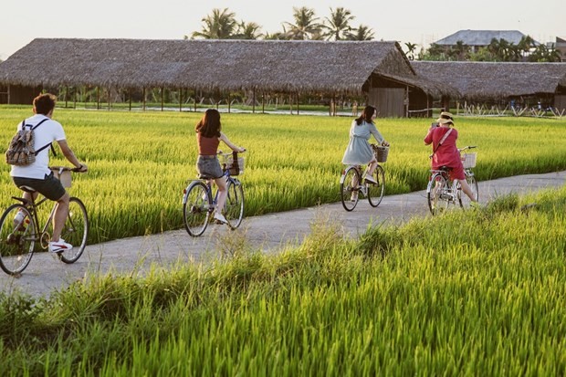 越南鼓励扶持农业旅游。