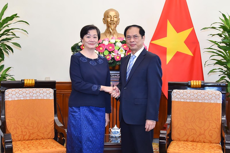越南外交部部长裴青山和柬埔寨王国新任驻越南特命全权大使谢金塔。（图片来源：VGP）