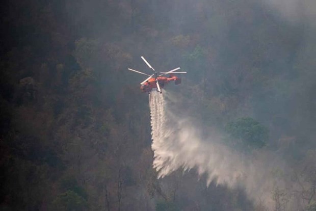当局调动了200名护林员和一架载水的直升机来灭火。