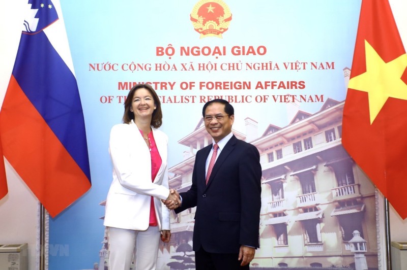 越南外交部长裴青山与斯洛文尼亚副总理兼外交和欧洲事务部长塔妮娅·法永。（图片来源：越通社）