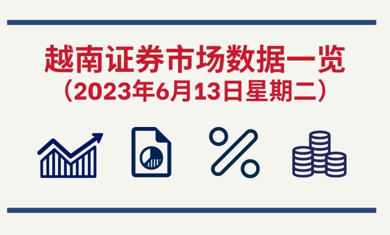 2023年6月13日越南证券市场数据一览【图表新闻】