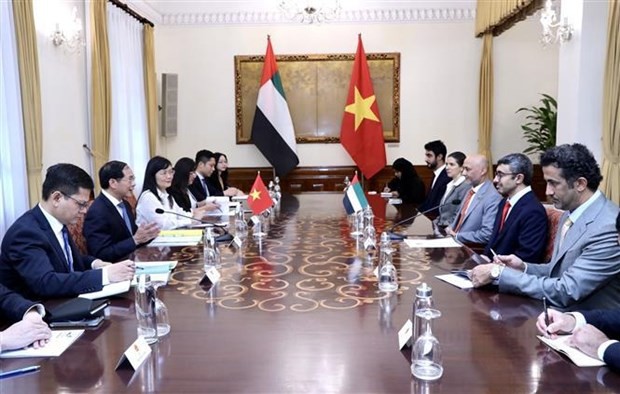裴青山外长与阿联酋外长阿卜杜拉举行会谈。（图片来源：越通社）