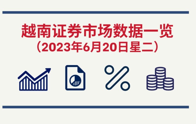 2023年6月20日越南证券市场数据一览【图表新闻】