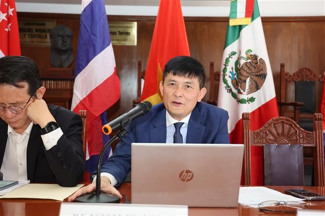越南驻墨西哥大使阮横年在论坛发表讲话。（图片来源：越通社）