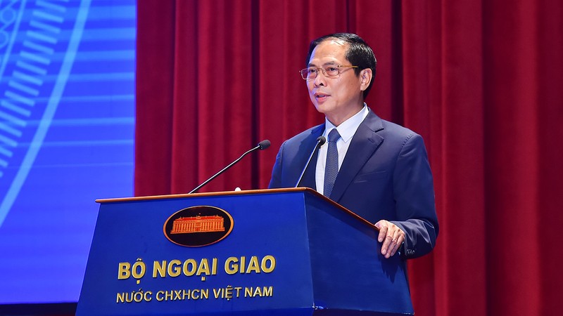 越共中央委员、外交部长裴青山在会议上发言。（图片来源：VGP）