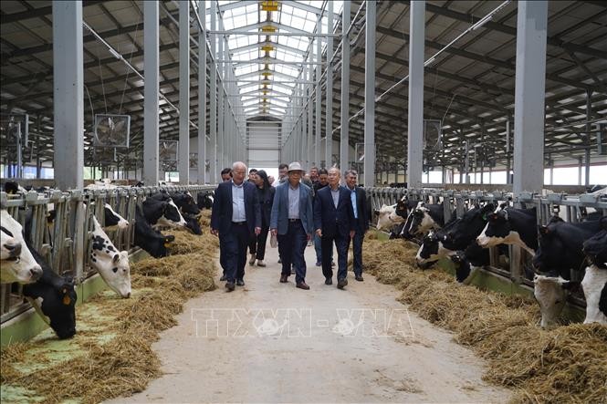 代表团走访位于卡卢加州乌里扬诺夫斯克区叶菲姆舍沃村的TH True Milk集团奶牛场。