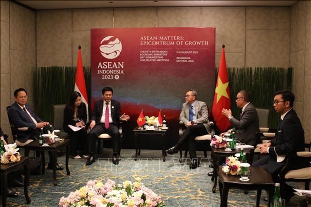 越南工贸部长阮鸿延与印尼贸易部长祖尔基弗利·哈桑举行了会晤。（图片来源：越通社）
