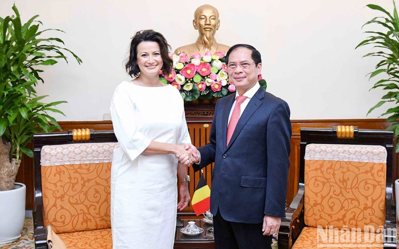越南外交部长裴青山会见比利时参议院议长斯蒂芬妮·德霍斯。