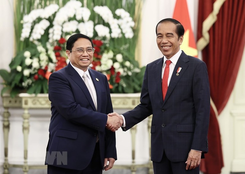 越南政府总理范明正会见印尼总统印尼总统佐科·维多多。（图片来源：越通社）