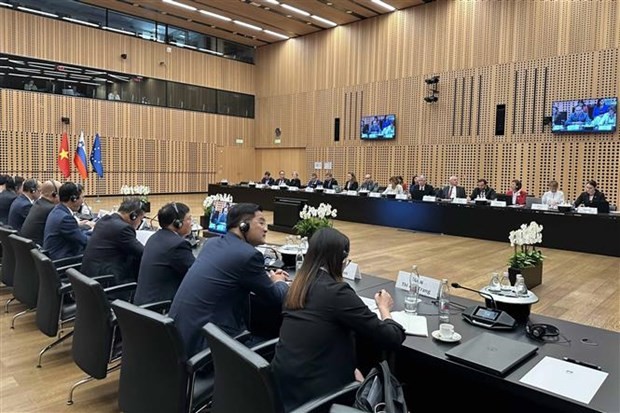 越南与斯洛文尼亚政府间委员会第三次会议全景。