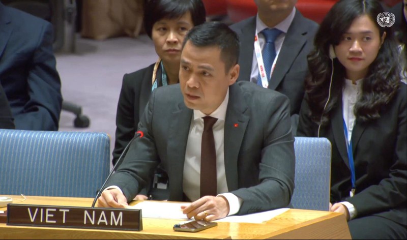 越南常驻联合国代表团团长邓黄江大使。（图片来源：越通社）