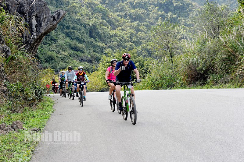 外国游客在宁平省骑自行车。