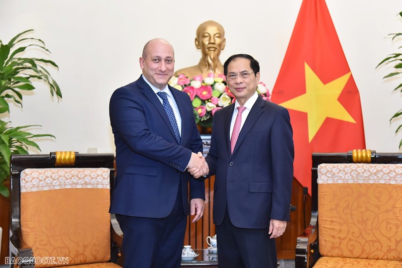 越南外交部长裴青山与格鲁吉亚外交部副部长亚历山大·赫夫季夏什维利。（图片来源与：国际报）