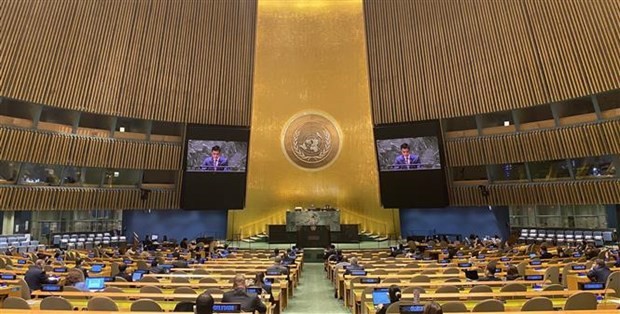 越南常驻联合国代表团团长邓黄江大使在会上发表讲话。（图片来源：越通社）