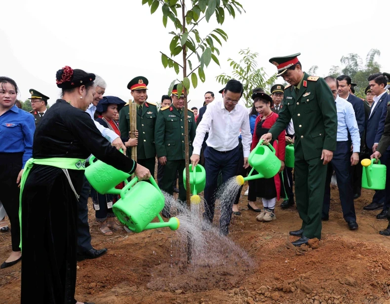 越南国家主席武文常在宣光省启动2024甲辰年'永远铭记胡伯伯之恩植树节'活动。