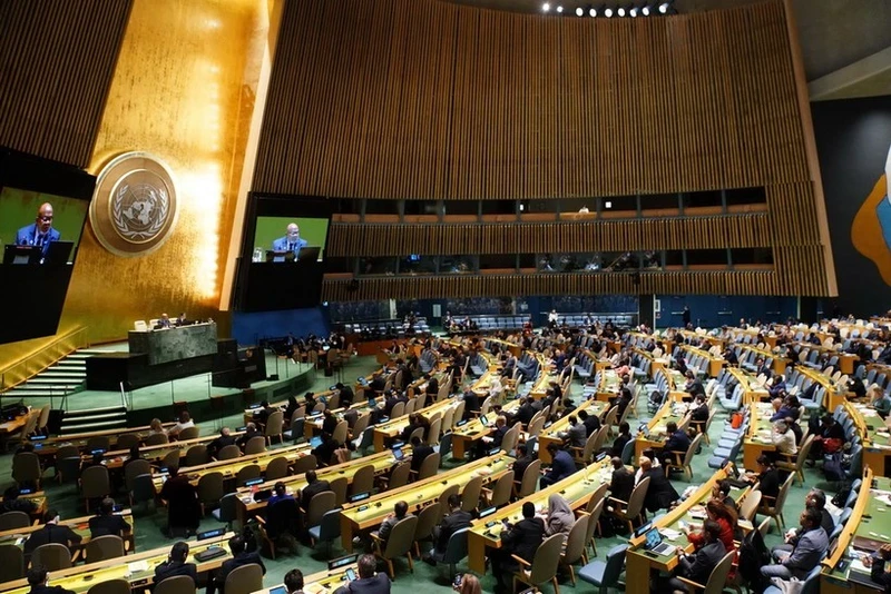 联合国大会在美国纽约召开的一场会议场景。