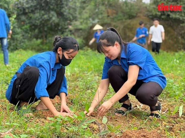 越南全国青年实施了超过9.4万个各级青年项目，比登记项目多8万多个项目。