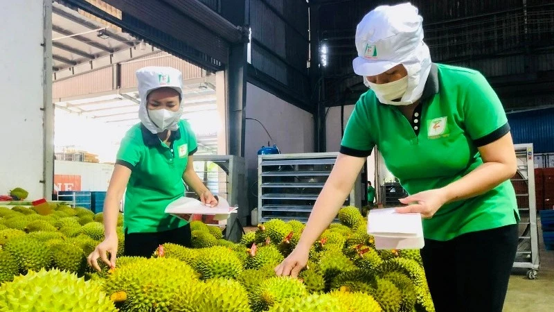 越南水果和蔬菜出口潜力巨大。