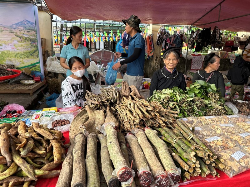 广宁省波制县岱依族人的传统医药。（图片来源：越南之声）