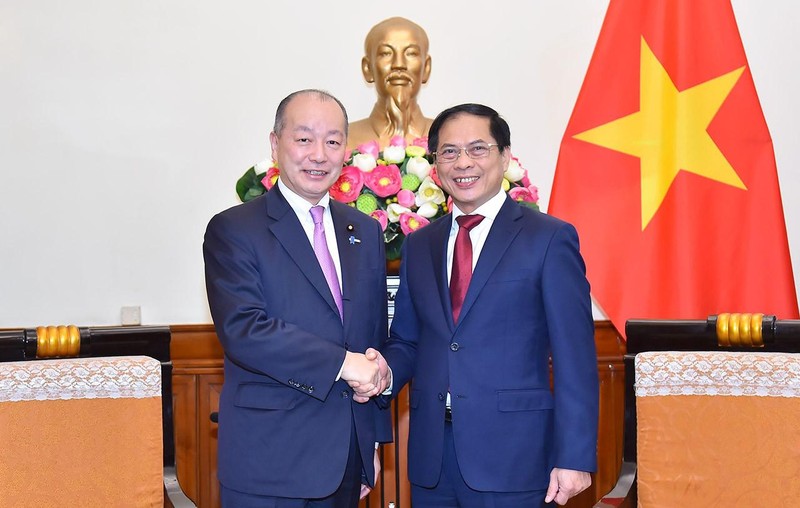 越南外长裴青山会见日本外务副大臣高木启。（图片来源：国际报）