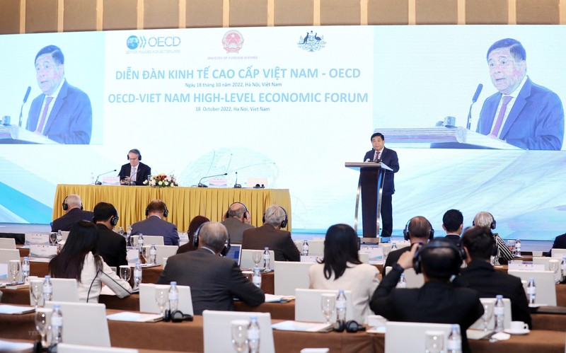 越南计划投资部部长阮志勇发表讲话。（图片来源：越通社）