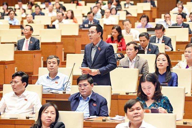 太平省国会代表阮文辉发表讲话。