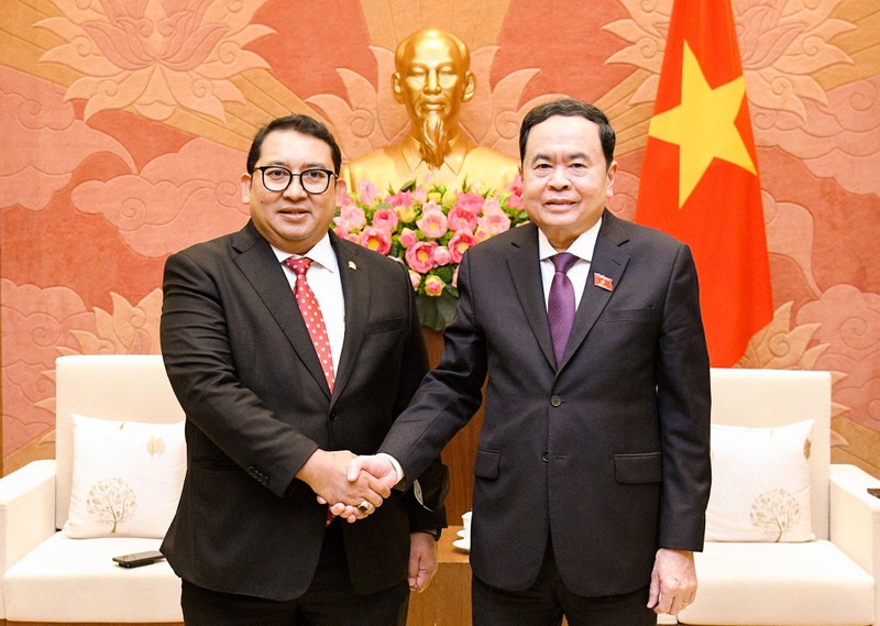 越南国会常务副主席陈青敏同印尼众议院议会间合作委员会主席法德利·宗合影。（图片来源：国会代表报）