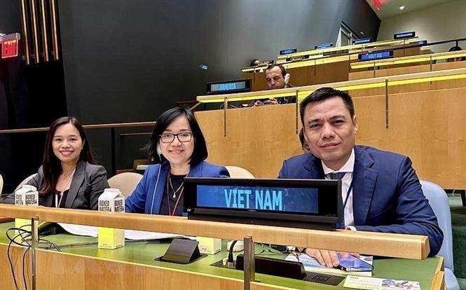 越南常驻联合国代表团团长邓黄江大使一行出席会议。（图片来源：越通社）