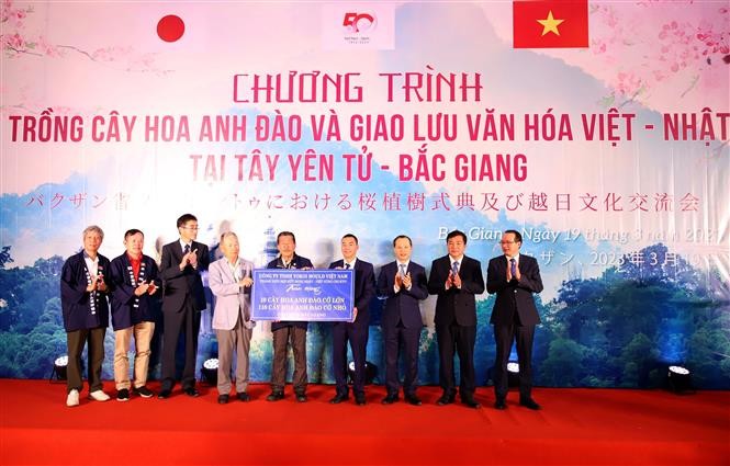 中京日越友好协会和Yokoi Mold（越南）有限公司向北江省赠送了120棵樱花树。（图片来源：越通社）