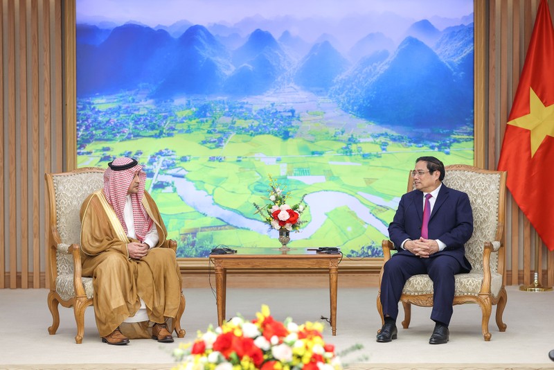 越南政府总理范明正会见沙特阿拉伯驻越大使。（图片来源：VGP）
