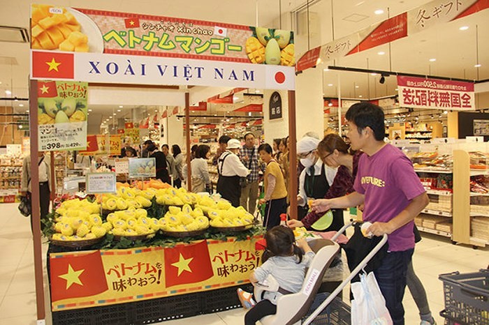 日本消费者选购越南芒果。（图片来源：《财政杂志》）