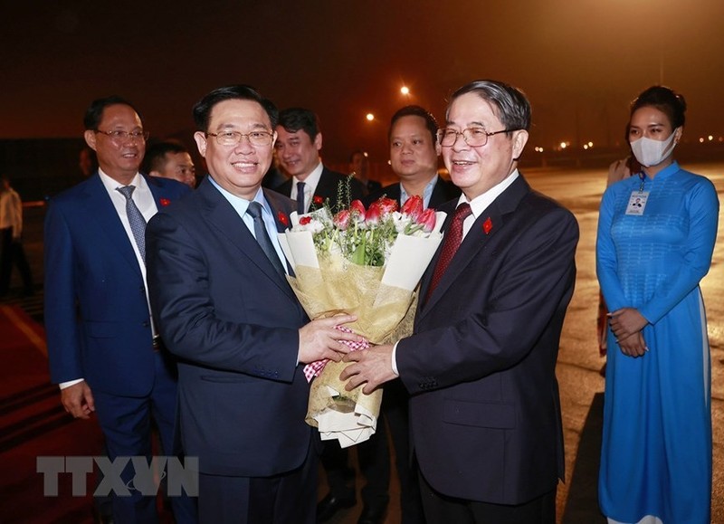 越南国会副主席阮德海在机场为国会主席王廷惠送行。（图片来源：越通社）