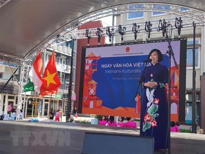 越南驻匈牙利大使阮氏碧草在活动开幕式上致辞。（图片来源：越通社）