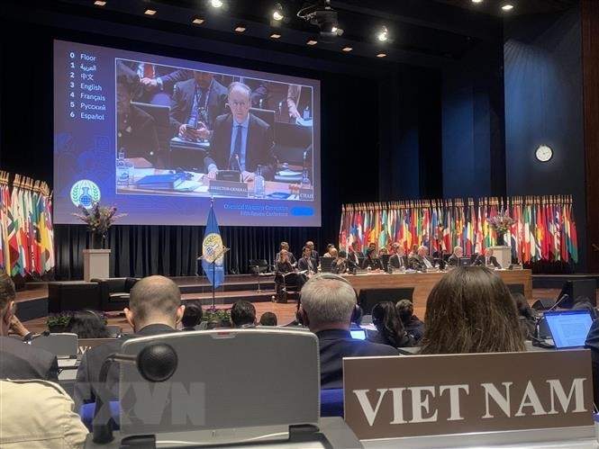 越南驻荷兰大使、越南常驻禁止化学武器组织（OPCW）代表范越英出席大会。（图片来源：越通社）