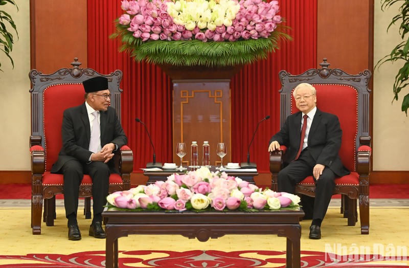 越共中央总书记阮富仲会见马来西亚总理安瓦尔。