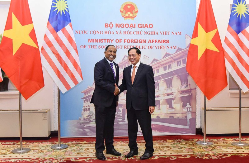 裴青山部长和马来西亚外交部长赞比里阿都卡迪。（图片来源：国际报）