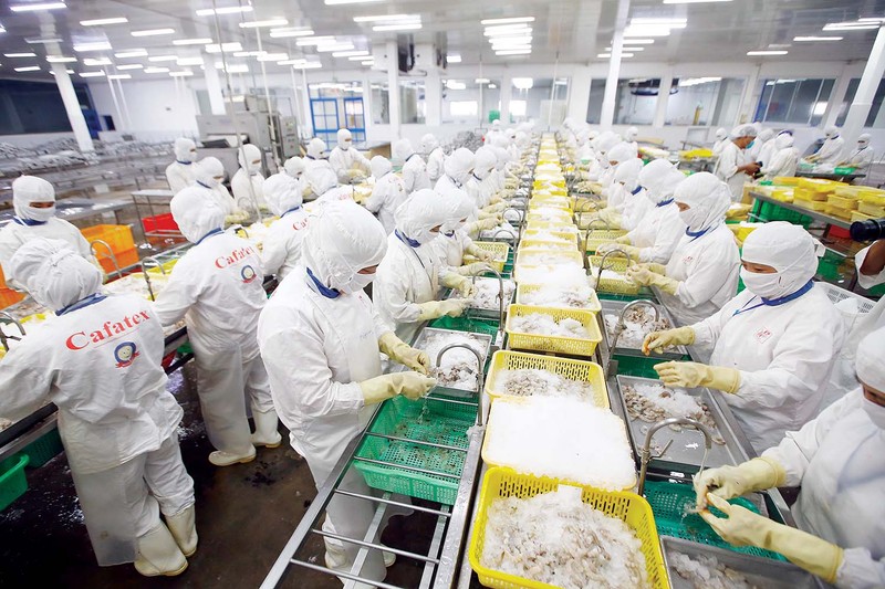 越南虾业稳定生产。