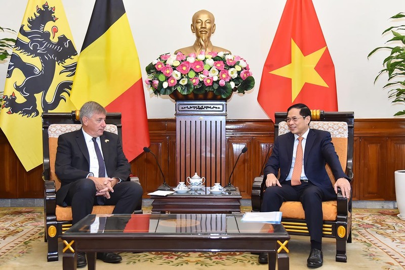 越南外交部长裴青山会见比利时法兰德斯大区首席大臣让·让邦。（图片来源：越通社）