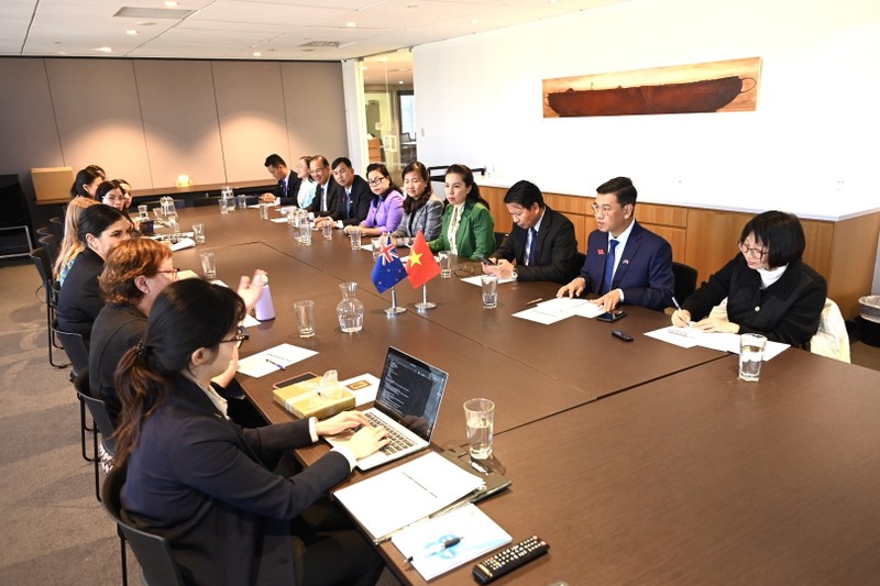 胡志明市人民议会副主席阮文勇率领的代表团与新西兰惠灵顿市议会举行工作会谈。（图片来源：sggp.org.vn）