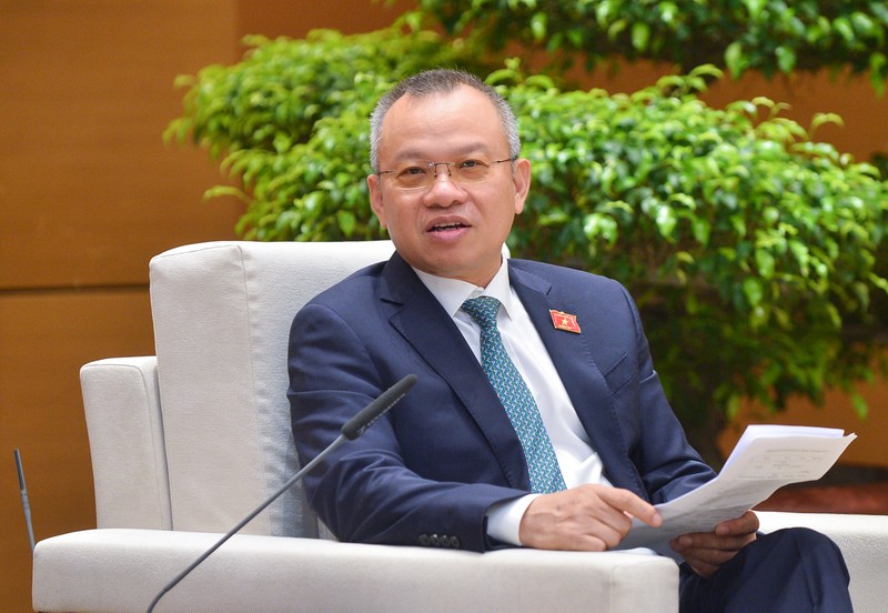 越南国会对外委员会副主任阮孟进。