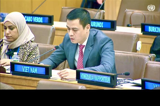 越南常驻联合国代表团团长邓黄江大使在会议上发表讲话。（图片来源：越通社）