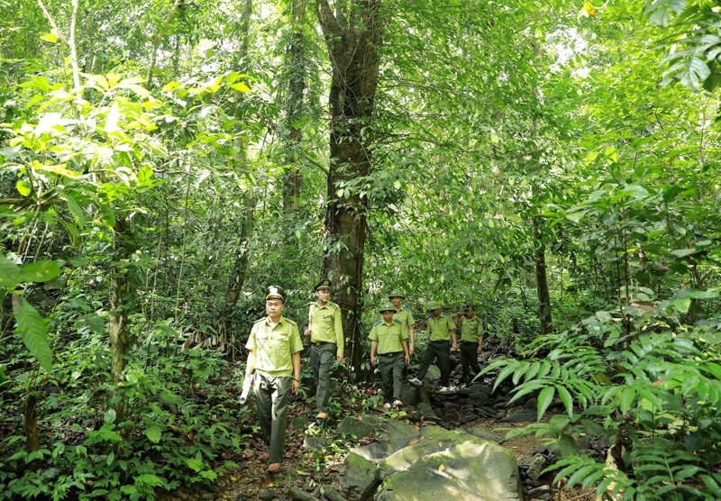 附图：推动森林生态旅游发展。