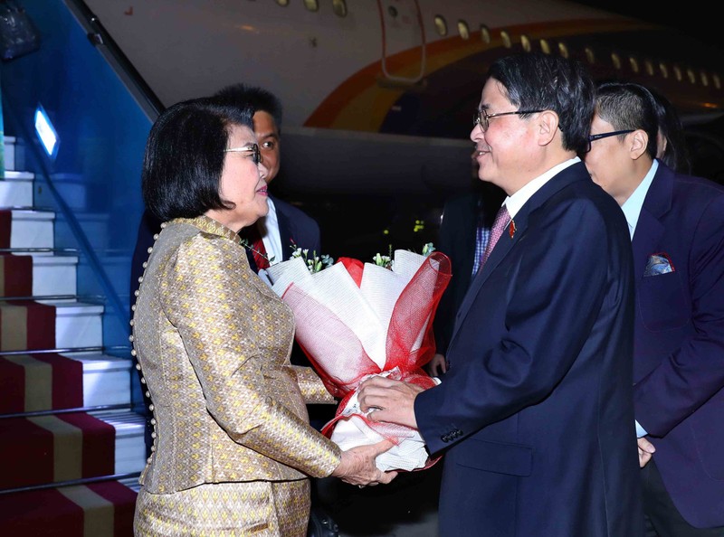 越南国会副主席阮德海在机场迎接昆索达莉女士一行。（图片来源：国会官网）