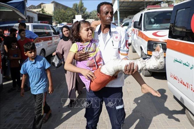 2023年11月1日，将一名受伤儿童送往加沙地带南部拉法的一家医院。 （图片来源：新华社/越通社）