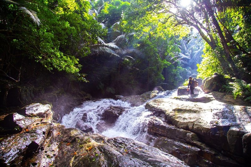 洞州– 清水涧自然保护区的生态景观。