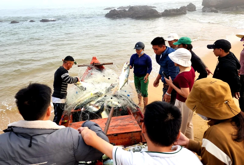 甲辰新春伊始广平省渔民收获丰收的喜悦。