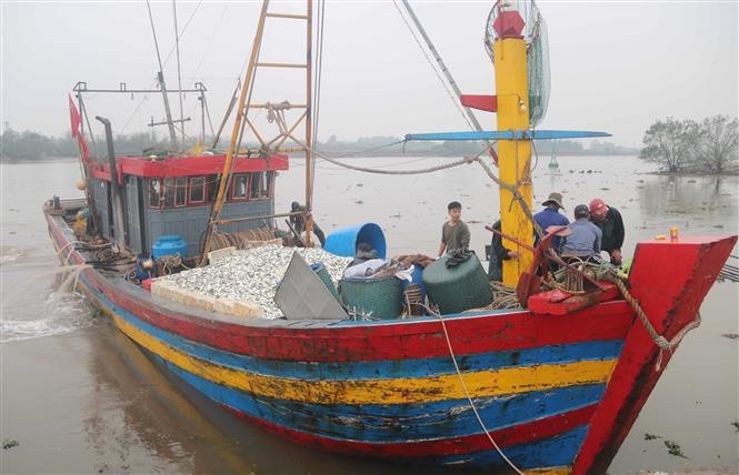 太平省渔民决心解除欧盟委员会的IUU“黄牌”警告。