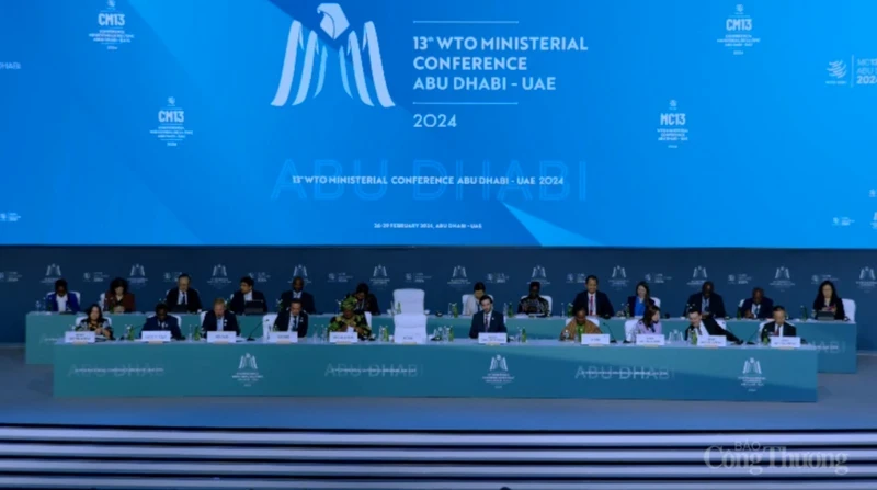 在阿布扎比举行的第十三届世贸组织部长级会议。（图片来源：工商报）