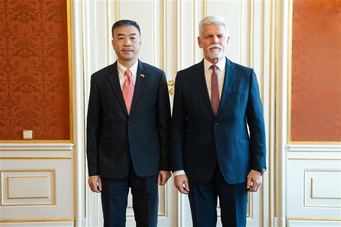 越南驻捷克特命全权大使杨怀南与捷克总统彼得·帕维尔。（图片来源：越通社）