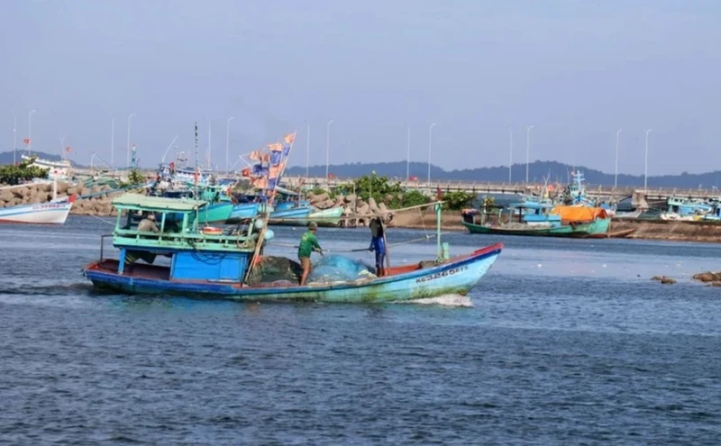 自2022年8月至今，巴地头顿省未发生渔船在外国海域非法捕捞行为。（图片来源：越通社）